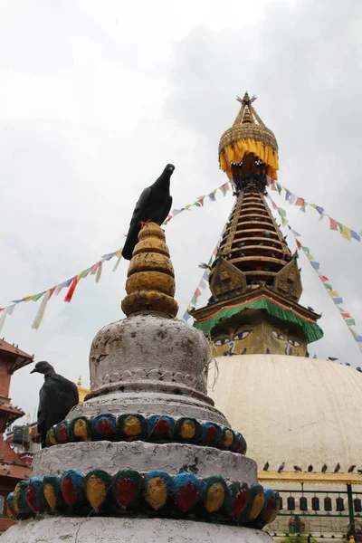Les Oiseaux Autour Stupa Ses Yeux Milieu Marché Local Katmandou — Photo