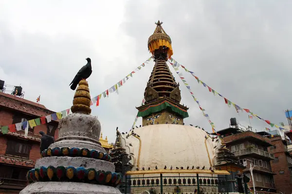 Fåglar Runt Stupan Och Dess Ögon Mitt Kathmandu Lokala Marknaden — Stockfoto