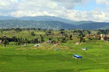 Dhulikhel ve Katmandu arasındaki karayolu çevresinde ricefield. Nepal'de, Ağustos 2018 alınan.