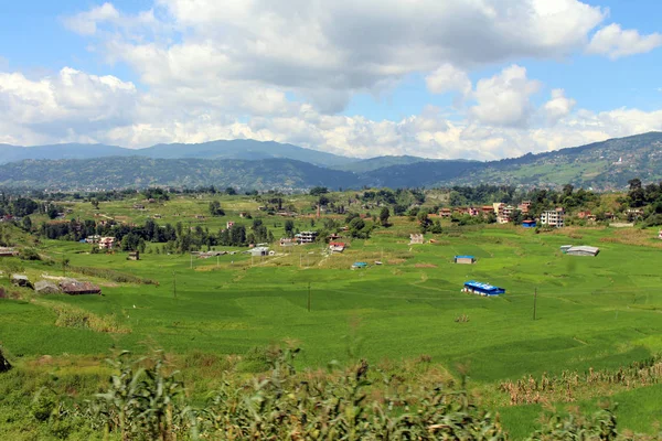 Champ Riz Autour Autoroute Entre Dhulikhel Katmandou Prise Népal Août — Photo