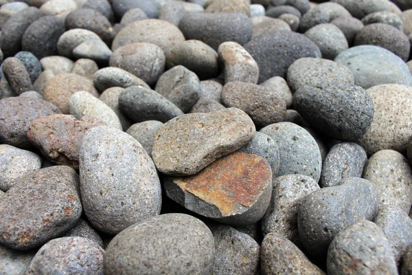 Ein Gebrochener Kieselstein Zwischen Steinen Garten Meditativ — Stockfoto