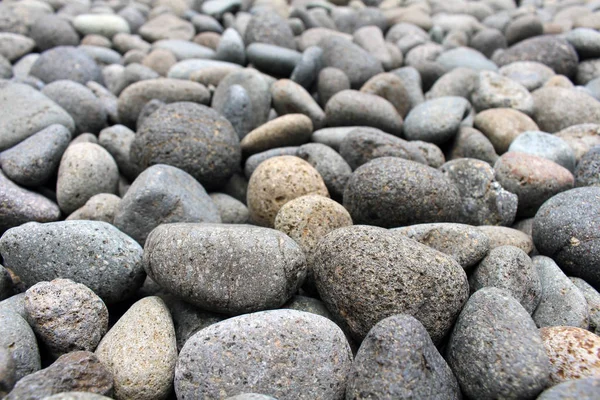 Uma Vista Perto Sobre Seixos Pedras Como Decoração Natural Jardim — Fotografia de Stock