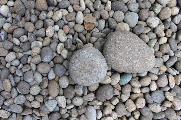 Stora Stenar Bland Mindre Stenar Trädgården Meditativ — Stockfoto