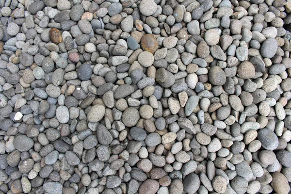 Pedrinhas Pedras Pedras Como Decoração Natural Jardim Meditativo — Fotografia de Stock