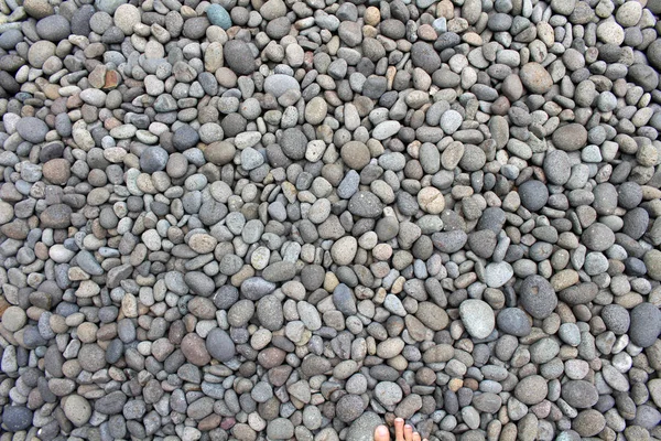 Çakıl Taşları Kayalar Taşlar Bahçede Doğal Dekorasyon Olarak Meditasyon — Stok fotoğraf