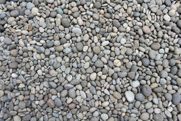 Çakıl Taşları Kayalar Taşlar Bahçede Doğal Dekorasyon Olarak — Stok fotoğraf