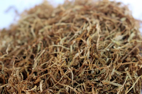 Flocos Tabaco Castanho Este Cresce Indonésia — Fotografia de Stock