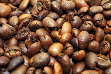 Indonesian roasted coffee beans, your source for a cup of coffee clipart