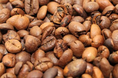 Indonesian roasted coffee beans, your source for a cup of coffee clipart