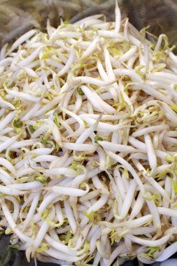 Mung fasulye filizi, birçok Asya yemekleri önemli bir rol