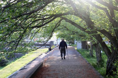 Beppu'daki bir parkta bastonlu yaşlı bir adam.