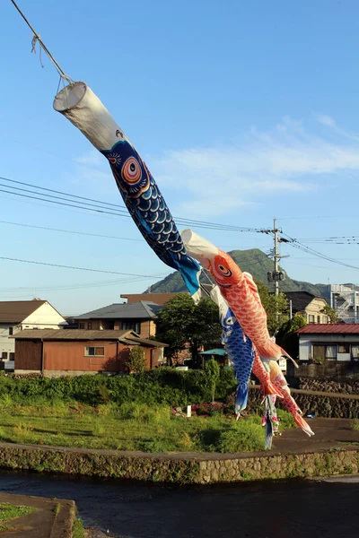 Una vista de cerca del festival de koinobori japonés volando koi — Foto de Stock