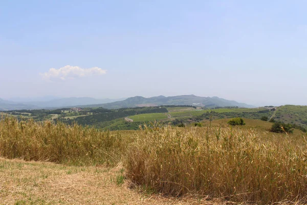 Blick über die Stadt Beppu vom Hügel des Trappistenklosters — Stockfoto