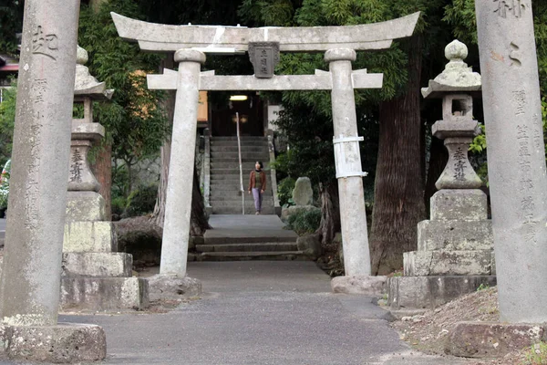Κόσμος Κατεβαίνει Τις Σκάλες Του Ικίμε Τζίντζα Ενός Ιαπωνικού Ιερού — Φωτογραφία Αρχείου