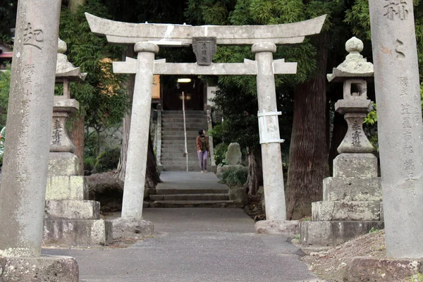 Κόσμος Κατεβαίνει Τις Σκάλες Του Ικίμε Τζίντζα Ενός Ιαπωνικού Ιερού — Φωτογραφία Αρχείου