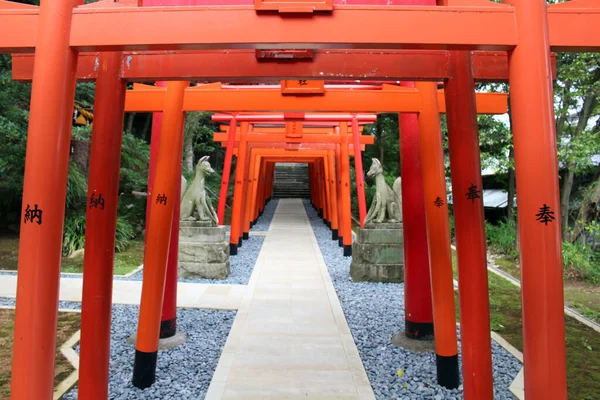 Linje Orange Torii Grindar Vid Inari Jinja Vid Suwa Helgedom — Stockfoto