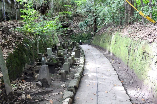 Standbeelden Grafstenen Rond Terukuni Jinja Heiligdom Kagoshima Genomen Augustus 2019 — Stockfoto