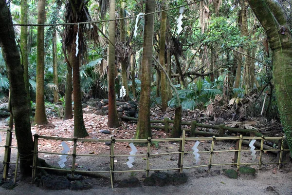 Κήπος Στο Ναό Αόσιμα Του Μιγιαζάκι Τραβήχτηκε Τον Αύγουστο Του — Φωτογραφία Αρχείου