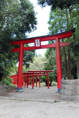 Miyazaki Jingu Tapınağı 'ndaki Kırmızı Torii Shinto kapısı. Ağustos 2019 'da çekildi..