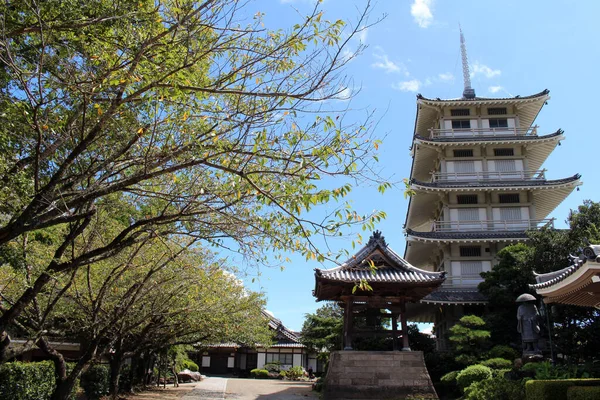 Pagoda Del Templo Shineiji Miyazaki Tomado Agosto 2019 —  Fotos de Stock