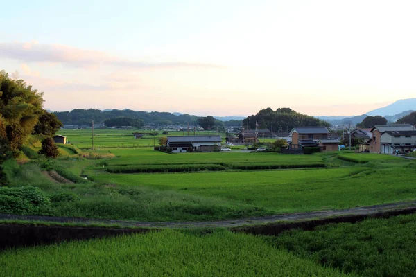 Odpoledne Paddyho Pole Obytná Oblast Přijato Asuka Kjóto Září 2019 — Stock fotografie