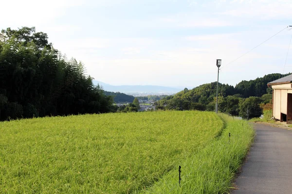 日本の飛鳥の田園風景と水田 2019年9月撮影 — ストック写真