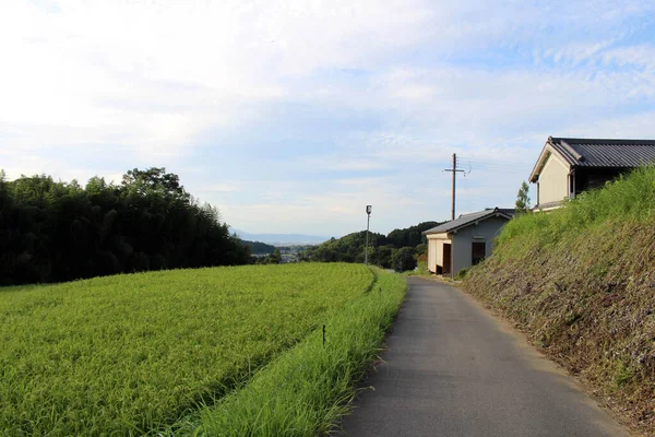 日本の飛鳥の田園風景と水田 2019年9月撮影 — ストック写真