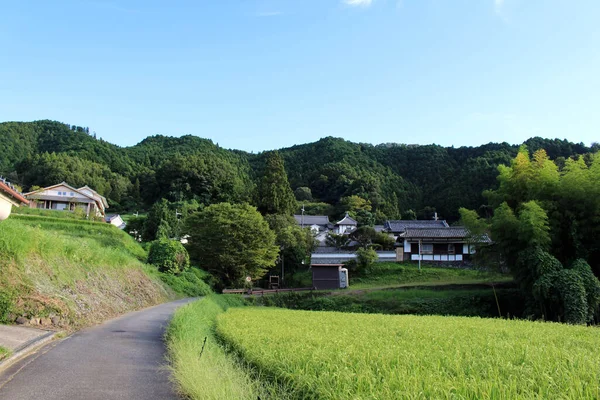Japonské Domy Rýžové Pole Venkov Asuce Pořízeno Září 2019 — Stock fotografie