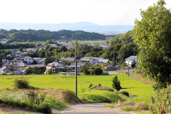 纳拉州Asuka的一个村庄和稻田的住宅区 2019年9月拍摄 — 图库照片