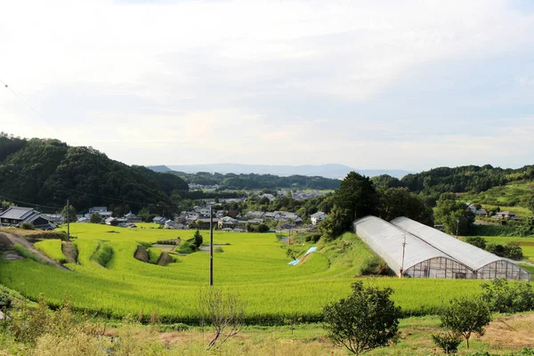 Housing Complex Village Paddy Field Asuka Nara Taken September 2019 — Stock Photo, Image
