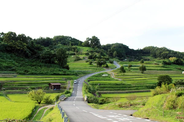 Hilly Road Uphill Rice Terrace Asuka Nara Japan Taken September — Stock Photo, Image