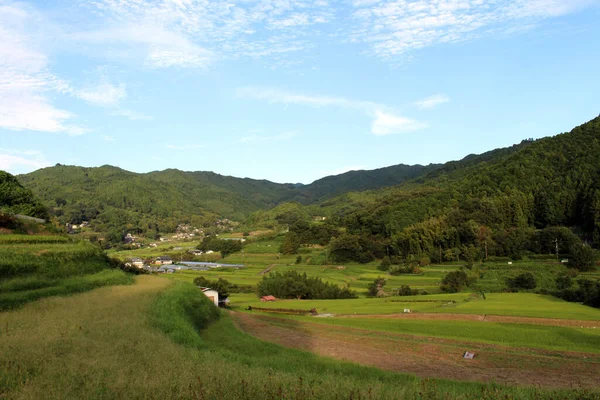 Πλούσια Βεράντα Ρυζιού Asuka Nara Ιαπωνία Λήφθηκε Τον Σεπτέμβριο Του — Φωτογραφία Αρχείου