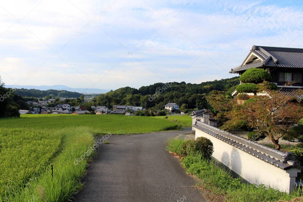 Japanese houses, paddy field, and countryside in Asuka. Taken in September 2019.