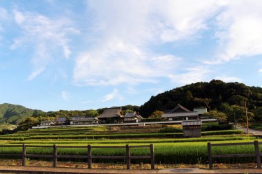 Asuka köyündeki çeltik tarlası ve geleneksel ev. Eylül 2019 'da çekildi..