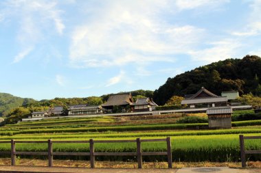 Asuka köyündeki çeltik tarlası ve geleneksel ev. Eylül 2019 'da çekildi..