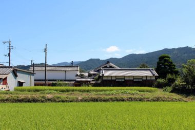 Nara 'nın Asuka köyündeki çeltik tarlalarının ve Japon evlerinin manzarası. Eylül 2019 'da çekildi..