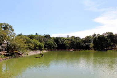 Japonya, Nara 'daki Kashihara Jingu Tapınağı çevresindeki göl. Eylül 2019 'da çekildi..