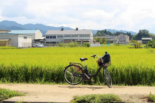 自転車 緑の水田 日本家屋など — ストック写真