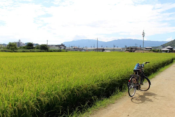 日本の緑の水田に駐輪する自転車 — ストック写真