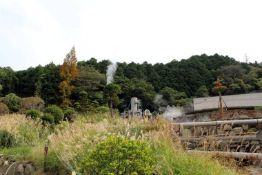 Minamitateishi çevresindeki doğa ve Beppu, Oita, Japonya 'daki onsen teknolojisi. Kasım 2019 'da çekildi..