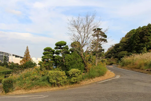 Naturaleza Alrededor Minamitateishi Detrás Suginoi Hotel Beppu Oita Japón Tomado — Foto de Stock