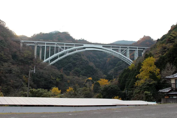 Brug Passeren Bos Het Voorjaar Beppu Oita Japan Genomen November — Stockfoto