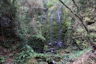 Beppu, Oita 'daki Onbara Şelalesi' nde su akıyor. Eylül 2019 'da çekildi..