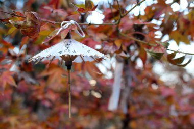 Asma, Şemsiye minyatürü, kağıtlar, dualar ve akçaağaç yaprakları. Aralık 2019 'da çekildi..
