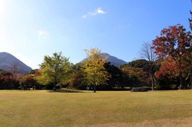 Baharda Minamitateishi Parkı 'nda renkli ağaçlar ve Tsurumi Dağı arka planda.