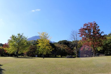 Minamitateishi Park 'ta arka planda dağ olan renkli Japon bahar sezonu.