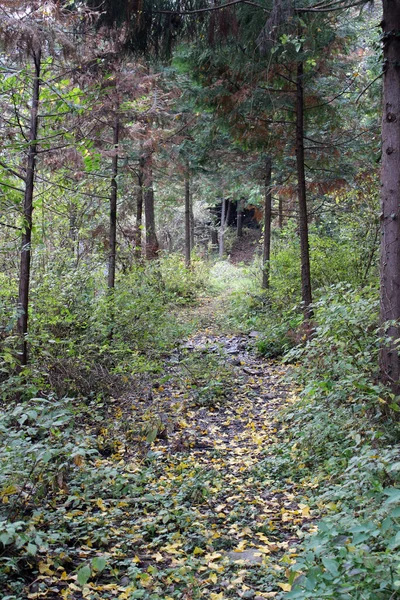 Trekking Drodze Onbara Falls Beppu Oita Zrobione Wrześniu 2019 — Zdjęcie stockowe