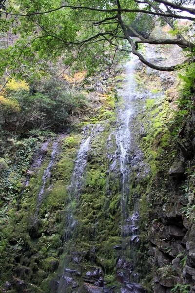 Chegando Cataratas Onbara Beppu Oita Tomado Setembro 2019 — Fotografia de Stock