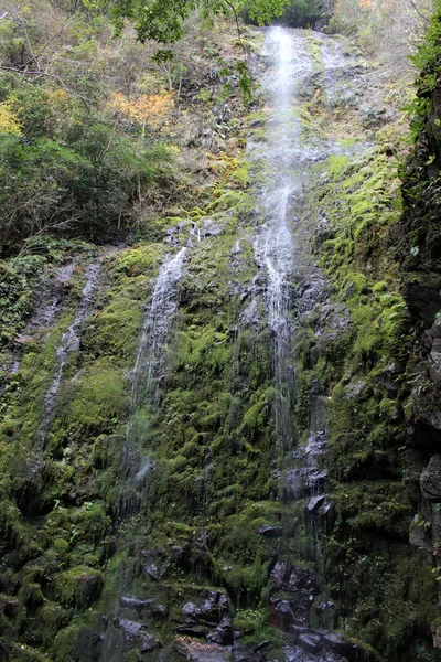 Musgo Água Rocha Pedra Polvilhe Onbara Falls Beppu Oita Tomado — Fotografia de Stock