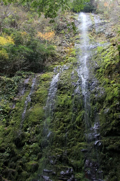 Moos Wasser Fels Stein Und Streusel Bei Den Onbara Falls — Stockfoto